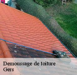 demoussage-de-toiture