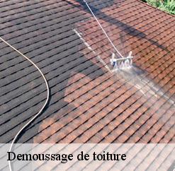 demoussage-de-toiture